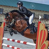 ВЕСТФАЛЬСКАЯ КОБЫЛА