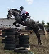 МАРШРУТЫ 100-110, ЭЛЕМЕНТЫ