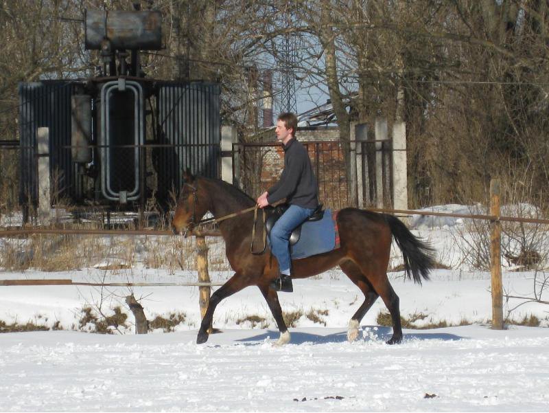 автор kaktus