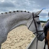МЕРИН В ХОББИ • ГРАМОТНО ВЫ