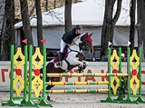 КОБЫЛА СПОРТИВНОЙ ПОМЕСИ