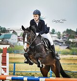 конкур120,выездка,троеборье