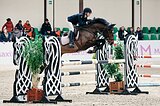 Учитель в конкур до 135 см