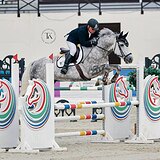 ПЕРСПЕКТИВНЫЙ ЖЕРЕБЕЦ 5 ЛЕТ