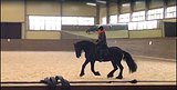 С-СЗ направления Берейтор\Берейтор-коновод