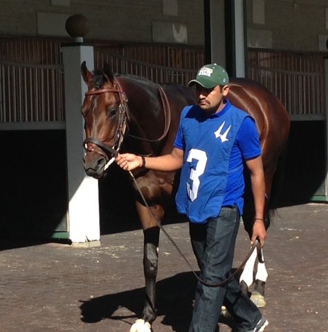 Паддок Churchill Downs 2014 год.