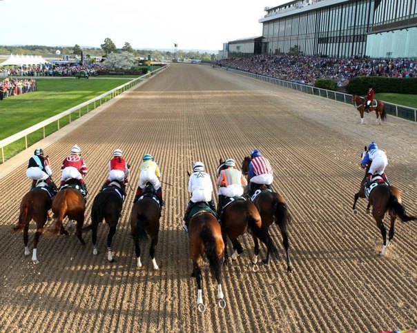 Ипподром Oaklawn Park 2014 год, скачка Arkanzass Derby.