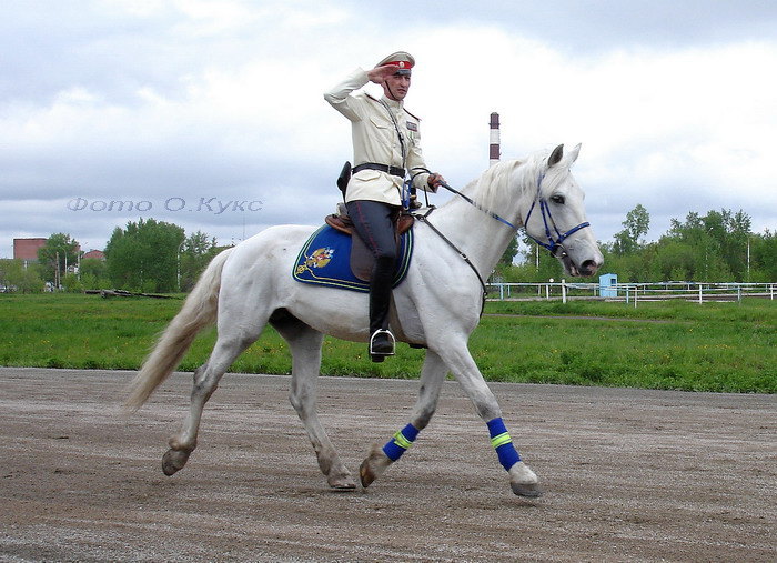 Новосибирский ипподром,открытие сезона,2007 год