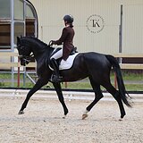 КОБЫЛА ПОД ЛЮБОГО ВСАДНИКА