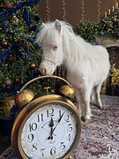 Белоснежка