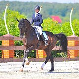 УЧИТЕЛЬ НА МП, СП, БП 