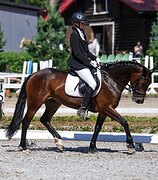 МАРШРУТЫ 80-100, ППД А