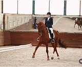 МП, элементы СП