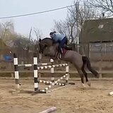 СТАРТОВЫЙ ОПЫТ ДО 110 СМ