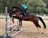МЕРИН В ДЕТСКИЙ СПОРТ