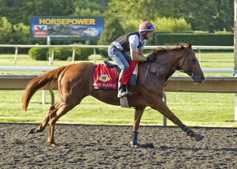 Ипподром Arlington 2011 год, подготовка к Arlington Million Stakes - Gr. 1