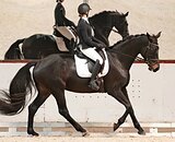 ЕЗДЫ ДЛЯ МЛ 76%