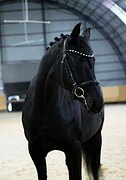 МАРШРУТЫ 80-100 • ПРЫГАЕТ ВСЕ 