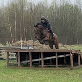 Супер кобыла в спорт