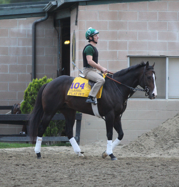 Ипподром Santa Anita Park, подготовка к Breeder's Cup Classic 2013 год. 