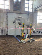 2019 гр, в спорт, матки, обмен 