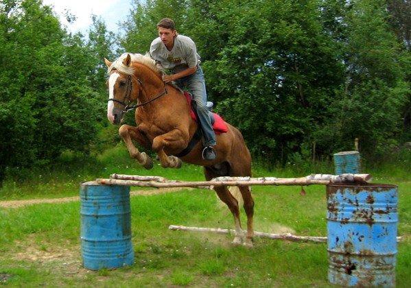 Спасибо Артему Роговому за предоставленную фотографию.