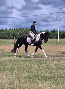 Пегаш
