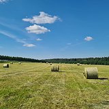 Сено в рулонах