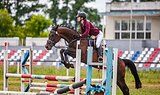 ВЫСОКИЙ МЕРИН В КОНКУР