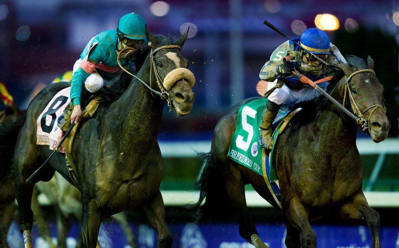 Ипподром Churchill Downs 2010 год, скачка Breeders' Cup Classic, где жеребец по кличке Blame (справа) на пол морды обогнал Королеву Американских скачек - Zenyatt'у.