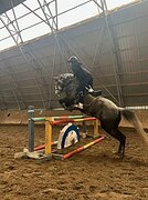 троеборье, маршруты 110см