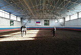 Постой лошадей в Переславль-Залесском