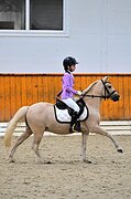 Очень красивый пони