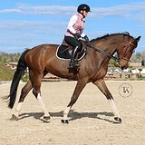 СТАРТОВЫЙ ОПЫТ ДО 135 СМ