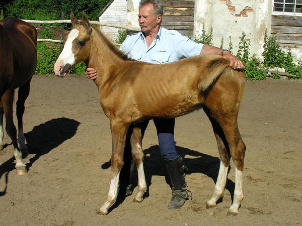 Султан-Гирей в детстве