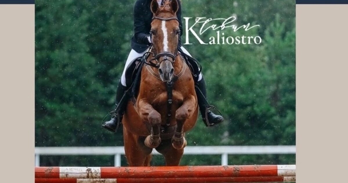 В магазине канцтоваров продаётся 120 ручек 32 красных. В магазине канцтоваров продаётся 120 ручек 32 красных 32 зелёных 32. В магазине канцтоваров продается 264 ручки 38. В магазине канцтоваров продается 120 ручек 32. В магазине канцелярских товаров продаётся 120 ручек из них.