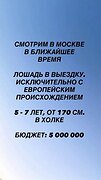 Смотрим в Москве