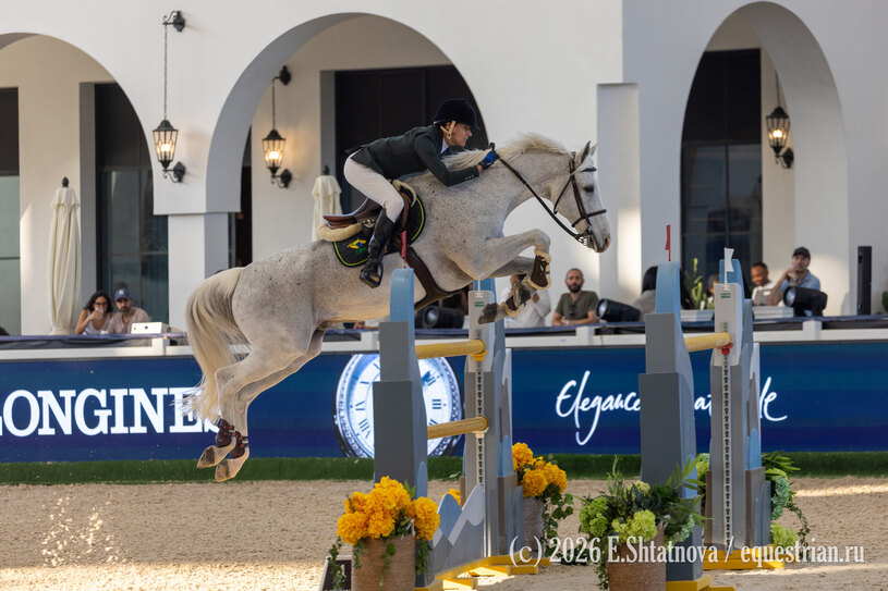 Diniz Luciana / Vertigo_du_Desert