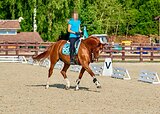 ЮНОШЕСКИЕ ЕЗДЫ