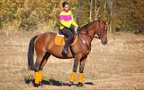 Тракенка в любую дисциплин