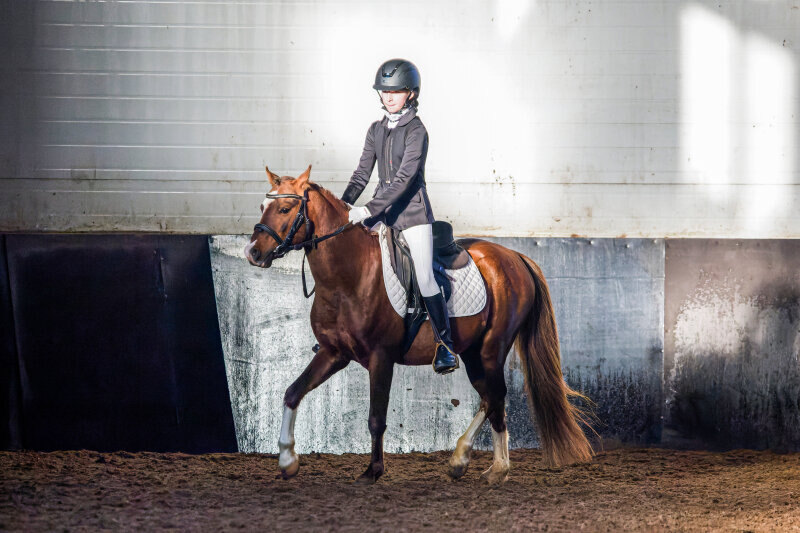 ДЖИНДЖЕР КУКИ-KVCH-19 (134) и Лукашина Александра