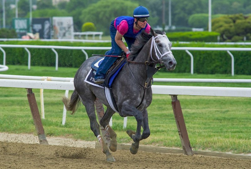 перед Belmont Stakes, Belmont Park 2015 год.