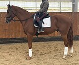 В БОЛЬШОЙ СПОРТ