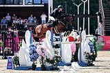 Мерин 2015