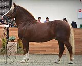 Прекрасный производитель!