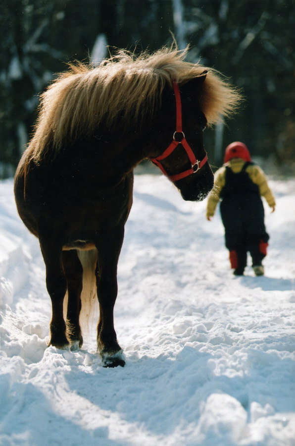 Как будто люди становятся лошадьми с детства, как будто даже у маленьких пони могут быть большие чувства...