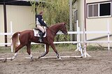 Перспективная высокая кобы