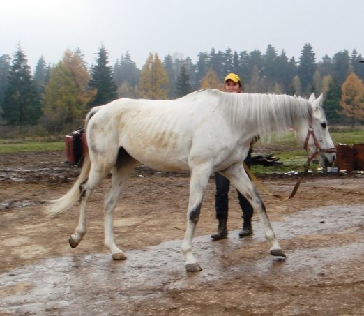 Заказник