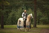 Уэльский коб