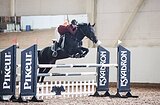 Кобыла 2015 гр
